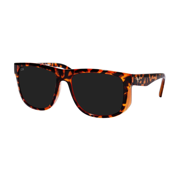 a-phase-z87-tortoise-